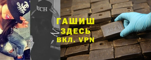 индика Осинники