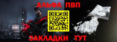 твердый Кингисепп