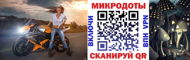где найти   маркетплейс состав  Галлюциногенные грибы Psilocybine cubensis  Лесной 