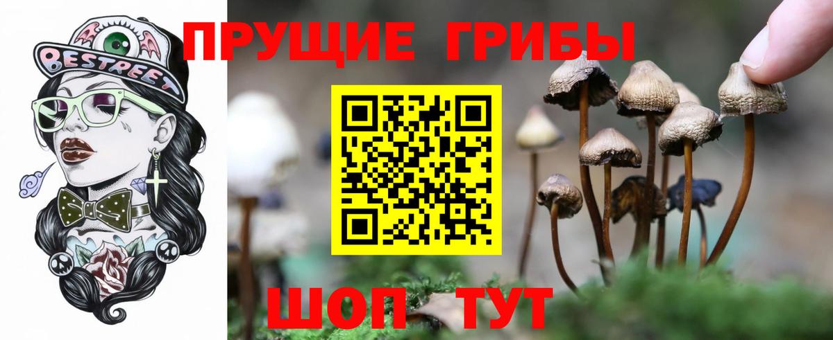 Псилоцибиновые грибы прущие грибы Лесной