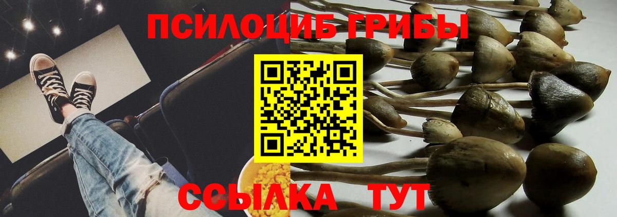 цены наркотик  Галлюциногенные грибы Psilocybe  Лесной  Вход с VPN  Галлюциногенные грибы прущие грибы 